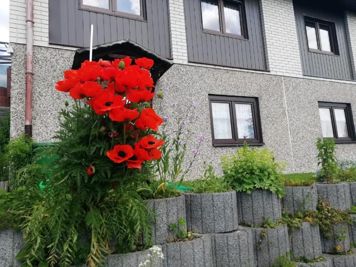 Ferienwohnung Suetovius Oberwiesenthal Εξωτερικό φωτογραφία